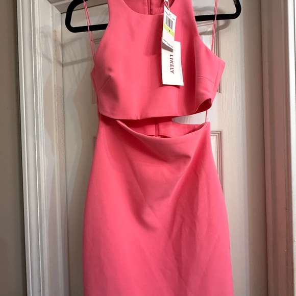 NWT! Likely pink cut out dress size 4 - Picture 2 of 5